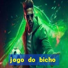 jogo do bicho crash bingo